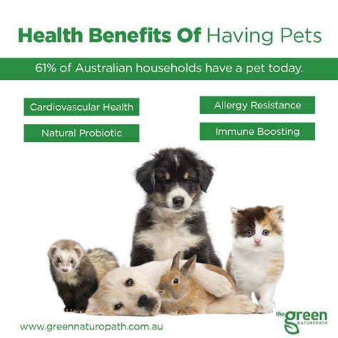 What Are The Benefits Of Having Pets