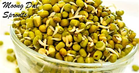 Easy Cooking With Ekta How To Sprout Moong Mung Beans At Home