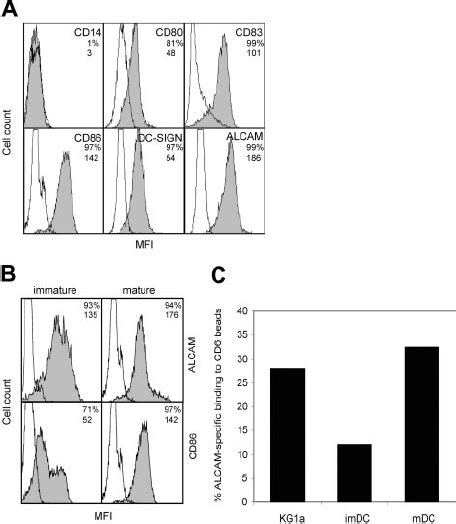 ALCAM Is Expressed By Monocyte Derived DCs And Mediates Adhesion To