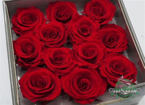 Scarlett Red Preserved Roses Are Available At Jet