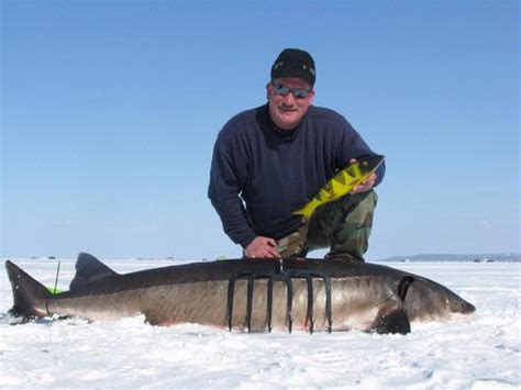 Wisconsin Fishing Reports: Sturgeon Spearing 2012