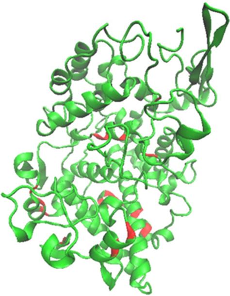 The 3D Structure Of Chain A COX 2 The Red Color Is The Active Site Of