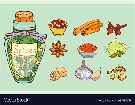 Spices Seasoning Hand Drawn Style Food Herbs Vector Image