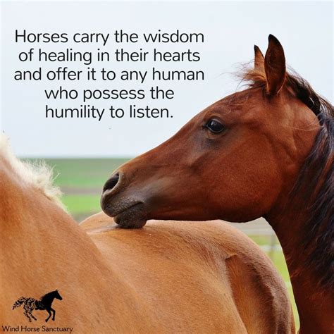 Horses Carry The Wisdom Of Healing In Their Hearts And Offer It To Any