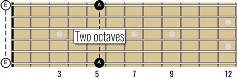 Guitar Octave Shapes — Guitar Music Theory Lessons By Ry Naylor