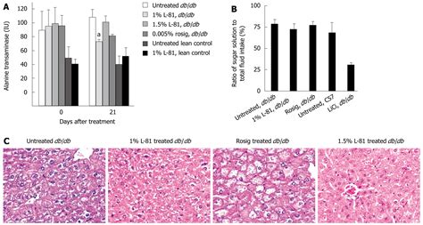 Pluronic L 81 Ameliorates Diabetic Symptoms In Dbdb Mice Through Transcriptional Regulation Of