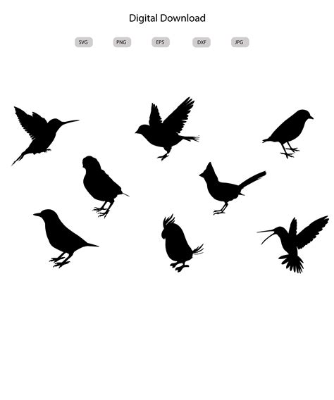 Birds Svg Birds Silhouette Birds Svg Bundle birds Svg - Etsy