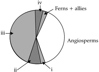 Identify The Areas Labelled I Ii Iii And Iv In The Pie Chart Given Belo