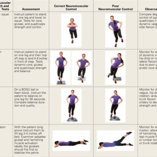 acute knee pain exercises pdf - Nida Jeffery