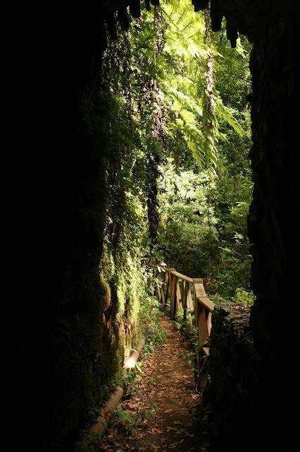 Paisatges I Jardins Landscapes And Gardens Dabril