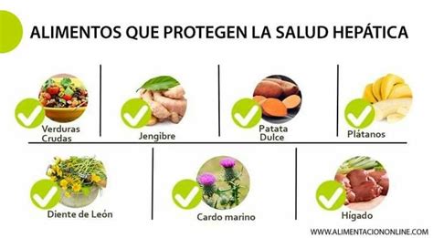 Salud Hep Tica Beneficios De Alimentos Alimentos Nutrici N