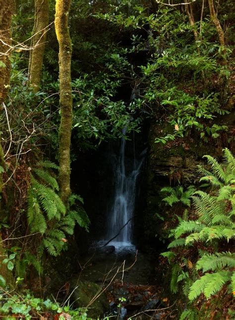 Water Drops At Edenvale By Anne Marie Oconnor Water Edenvale