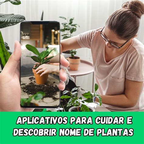 Aplicativos Para Cuidar E Descobrir Nome De Plantas NOTICIAS GERAIS