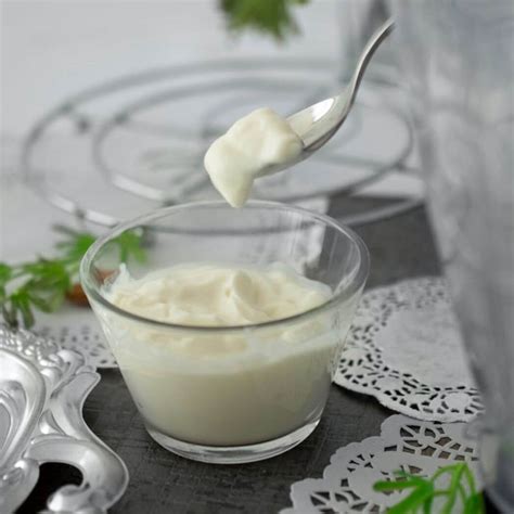 zelf mayonaise maken howbehealthy