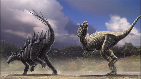 Allosaurus Vs T Rex Size Comparison Rex Adults Were A Significantly Larger Compared With