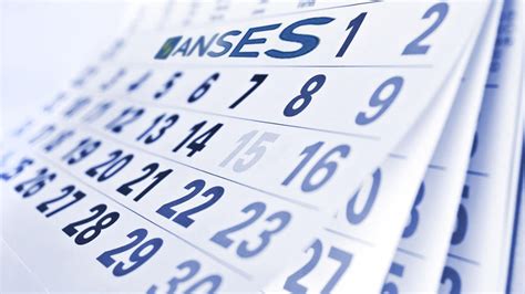 ANSES confirmó el calendario de pagos completo de julio 2024 cuándo