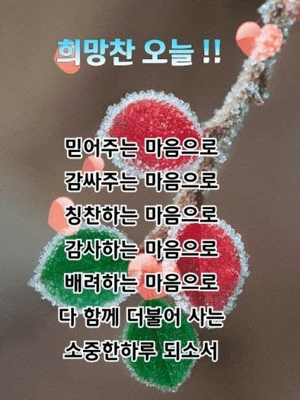 아침 인사에 있는 유경 김님의 핀 좋은 아침 인사 아침 인사 좋은 아침 이미지