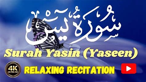 Surah Yaseen Episode Surah Yaseen Ki Tilawat Surah Yasin