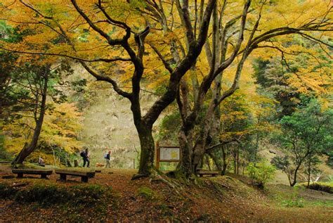 千葉県の紅葉スポット養老渓谷と亀山湖の紅葉の楽しみ方 地域情報 千葉奥房総の亀山温泉ホテル