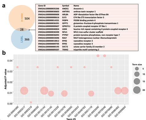 Candidate Positively Selected Genes PSGs A PSGs In The Top 1