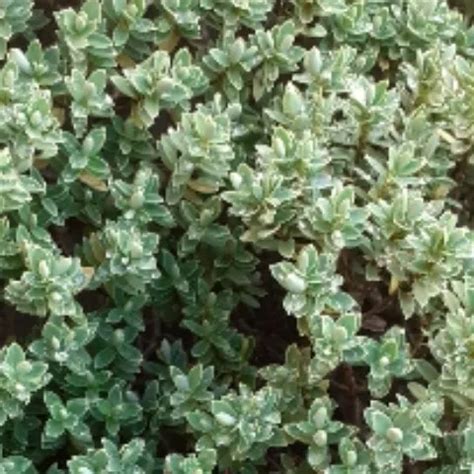 Fuck Me Bareback Gay Twink Twink Porn XHamster