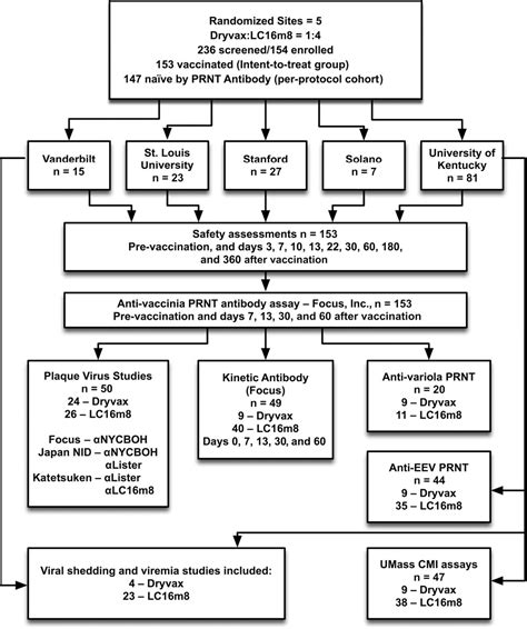 Figure 1 From Safety And Immunogenicity Of LC16m8 An Attenuated