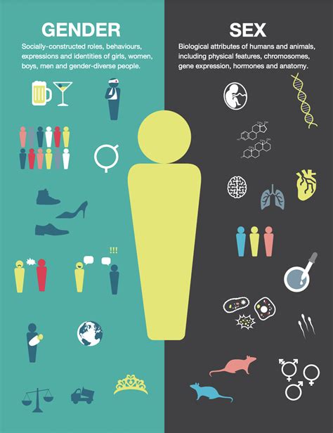 Gender And Sex Arent They The Same Gender And Environmental Pollution