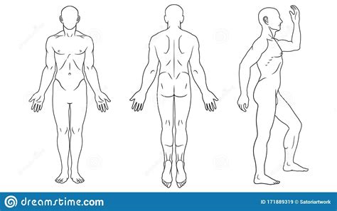 Blank Body Map Template - Ovrah.com | Body map, Body outline, Vector ...