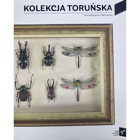 Kolekcja Toru Ska Zbiory Centrum Sztuki Wsp Czesnej Znaki Czasu W