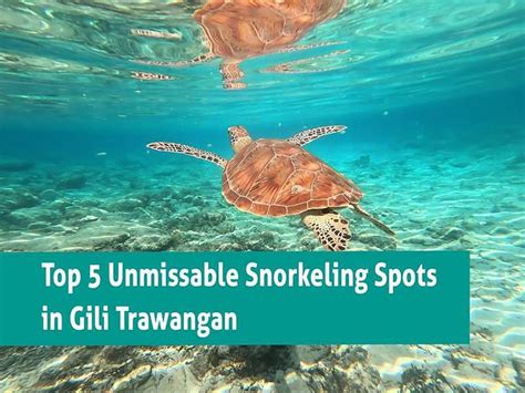 Top 5 Unmissable: Snorkeling Spots in Gili Trawangan