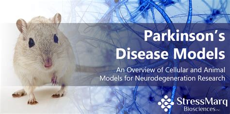 Parkinsons Disease Models An Overview Of Cellular And Animal Models