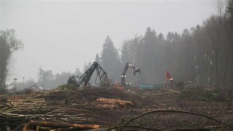 A49 Rodung im Dannenröder Forst abgeschlossen Aktivisten kündigten