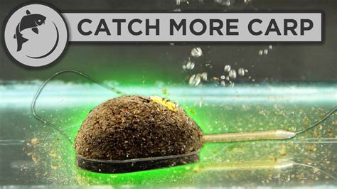 How To Fish The Method Feeder 5 Steps To Catch More Fish YouTube