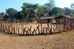 Le Bastar Un Voyage Ethnique Au Coeur Du Chhattisgarh MAGIK INDIA