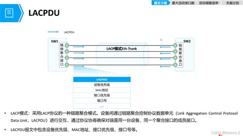 【以太网链路聚合与交换机堆叠、集群（链路聚合的手动模式和lacp模式、lacp报文格式、活动链路选举、负载分担及配置）】 20211218