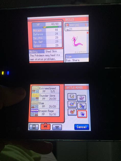 Training my ExtremeSpeed Shiny Dratini : r/pokemonrng