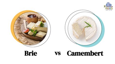 Camembert vs Brie Cheese: Taste Difference & Full Nutritional Comparison