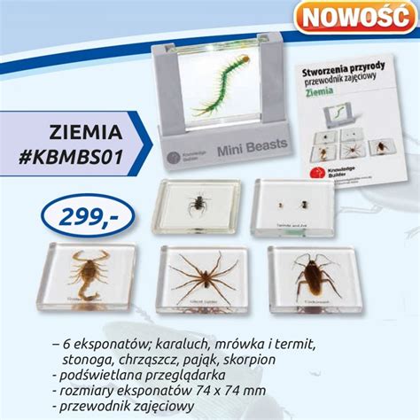 Ziemia Stworzenia W Glebie Mapy Plansze Szkolne J Zykowe