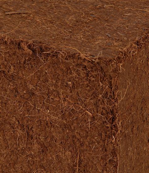 Square Coir Pith COCO PEAT BLOCK For Plant Nurseries At Rs 40 Kg In