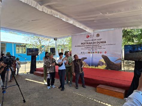 Enam Ekor Komodo Hasil Breeding Taman Safari Indonesia PT Smelting Dan