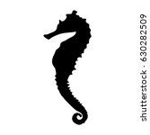 Seahorse Outline Clipart Free Stock Photo - Public Domain Pictures