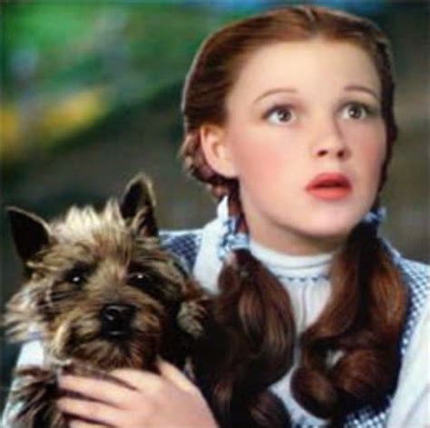 Wizard Of Oz Quotes Dorothy Were Not In Kansas Anymore