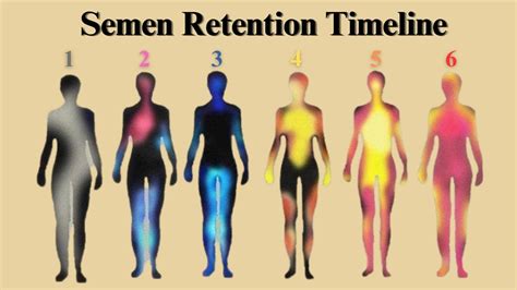 THE 6 STAGES OF SEMEN RETENTION YouTube