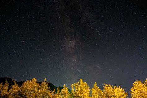 Orionid Meteor Shower Begins To Light Up The Sky As Halley S Comet