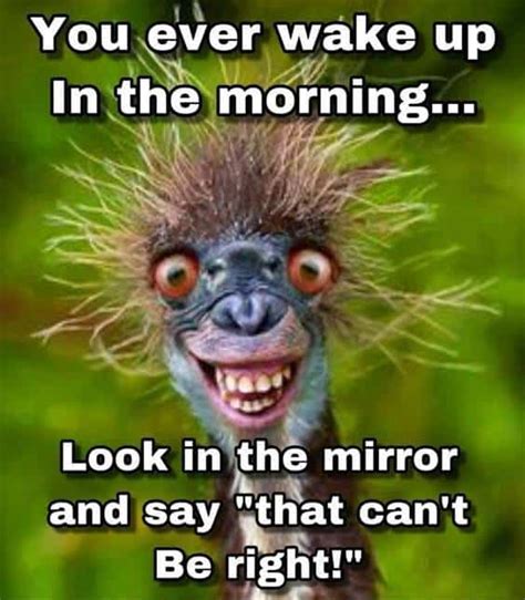 30 Funny Good Morning Memes To Get Your Day Off To a Good Start