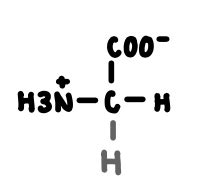 Biochemistry Amino Acids Flashcards Quizlet