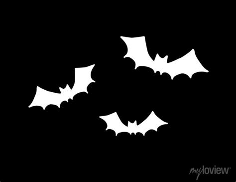 Vector Set Group Of Three White Flying Bat Silhouette Isolated Wall