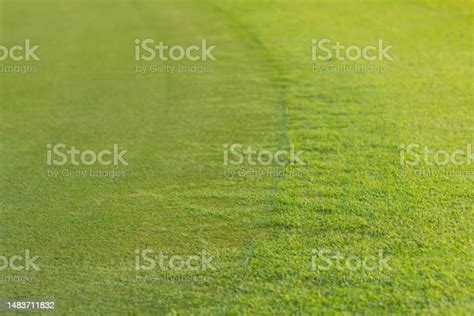 Background And Texture Of Beautiful Green Grass Pattern From Golf