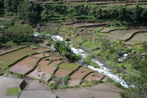 Banaue Rice Terraces Pictures, Photos & Facts - Ifugao,