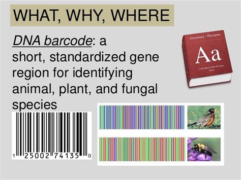 Dna Barcoding A Simple Way Of Identifying Species By Dna